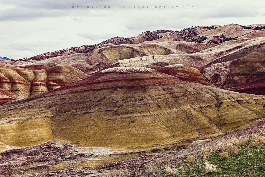 painted hills oregon