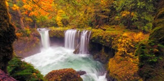 autumn photos
