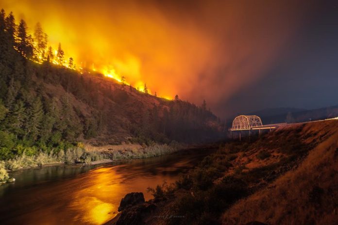Taylor Creek Fire