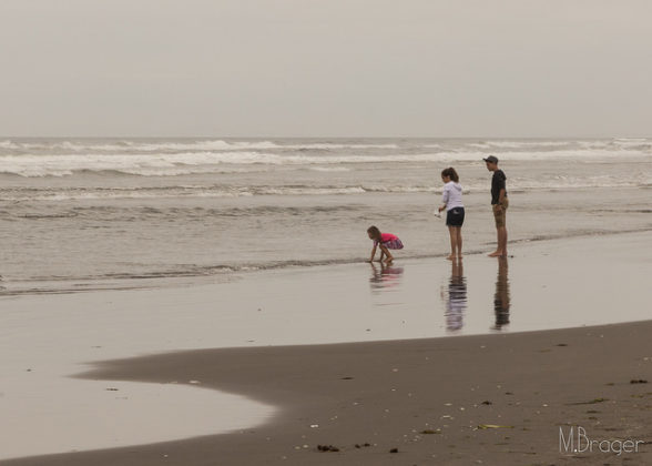 There's a Gorgeous Sand Dollar Beach in Oregon And You Must Go