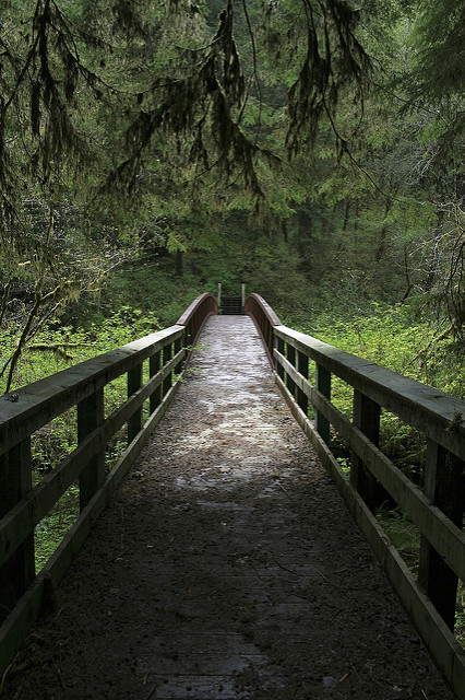 Valley of the giants