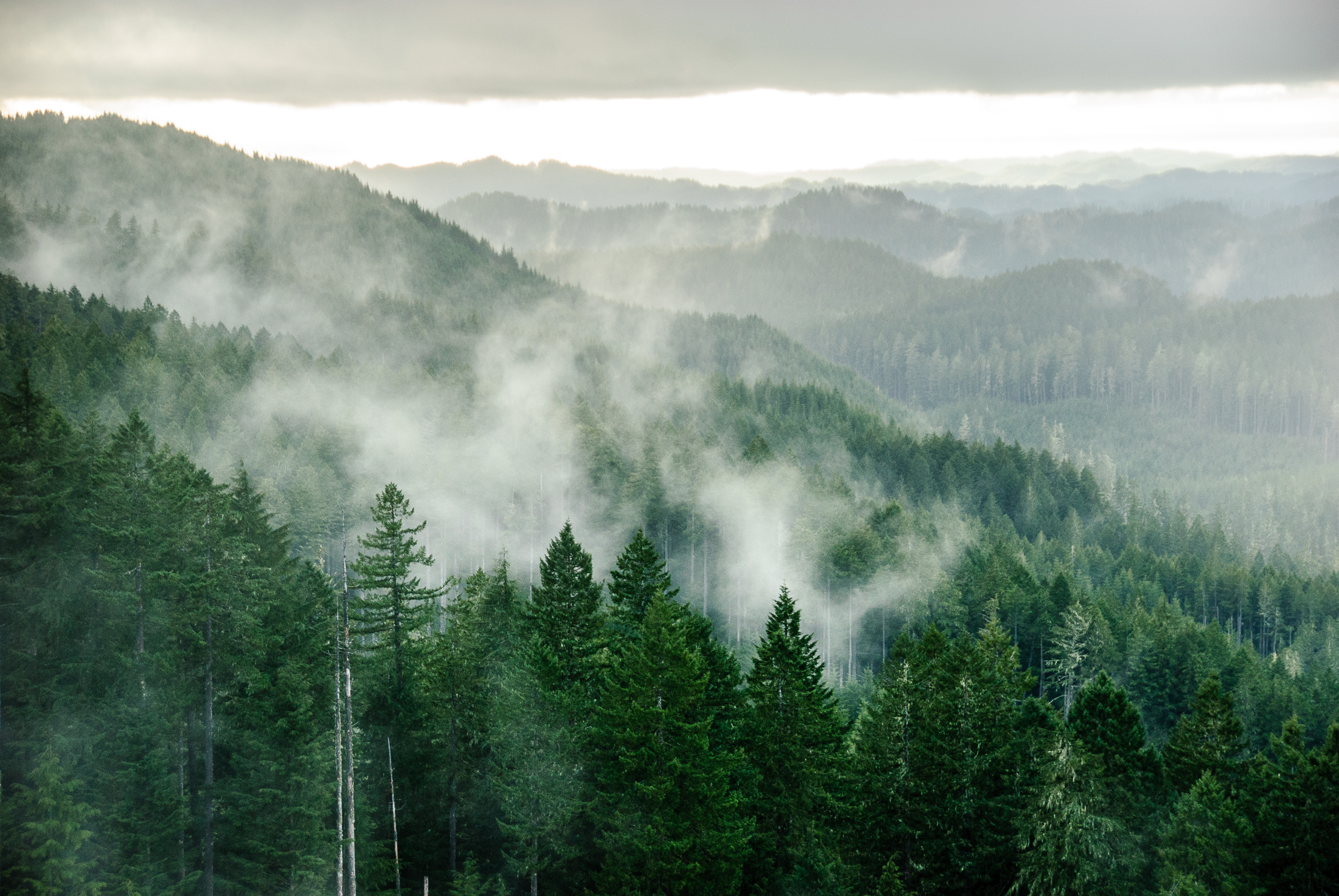 5 reasons to travel the Oregon Coast in winter