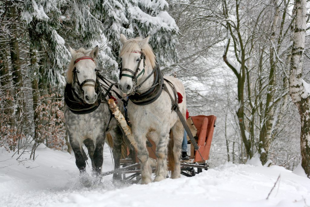 Mount Hood Oregon Sleigh Rides