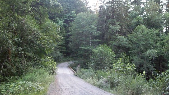 Butte Creek Falls