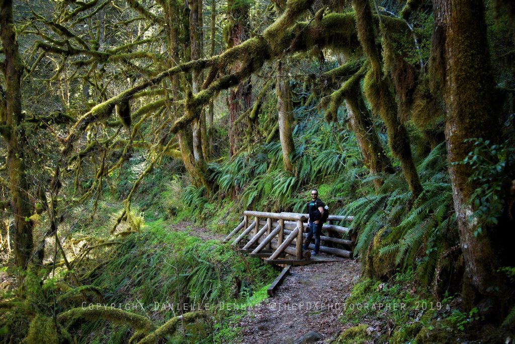 butte creek falls trailhead