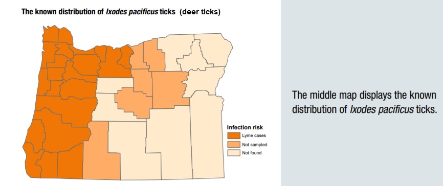 Ticks In Oregon Map Everything You Never Wanted To Know About Ticks In Oregon | That 