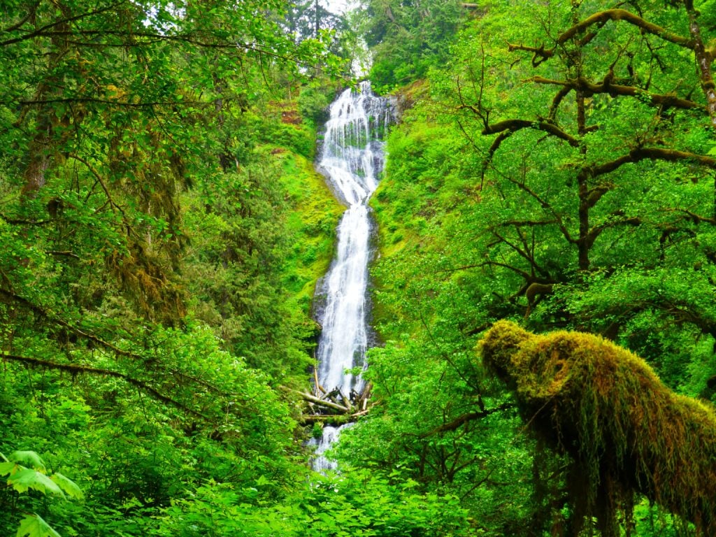 Munson Creek Falls on the Oregon Coast