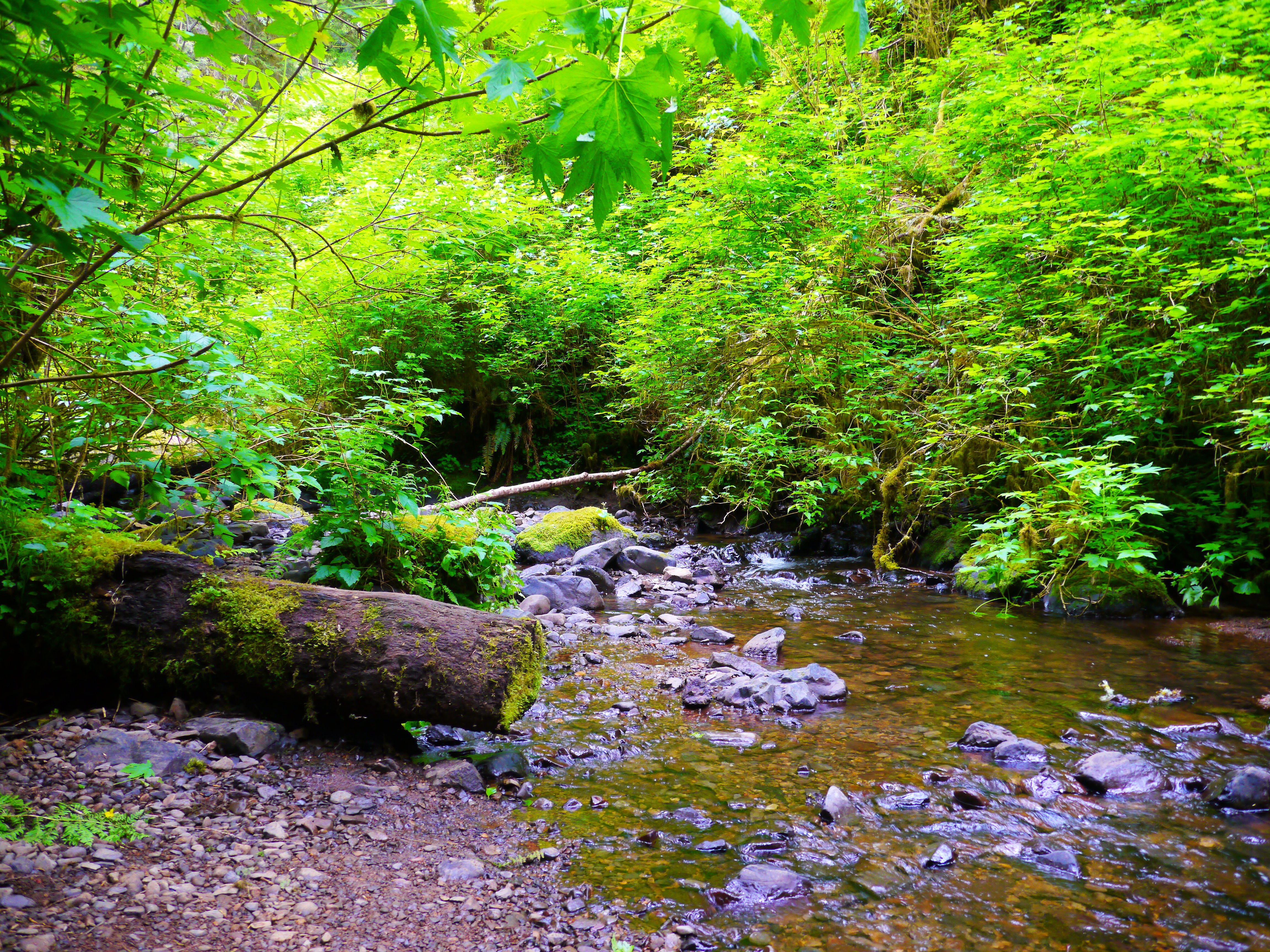 Munson Creek Oregon