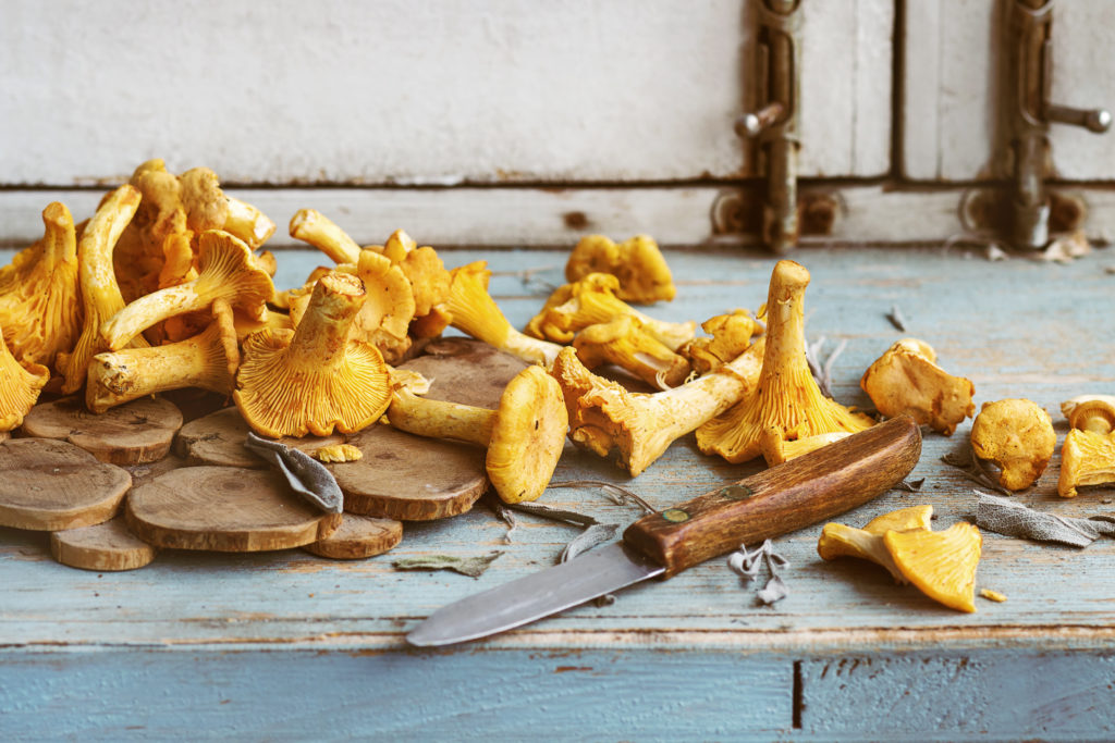 Raw, uncooked chanterelles.