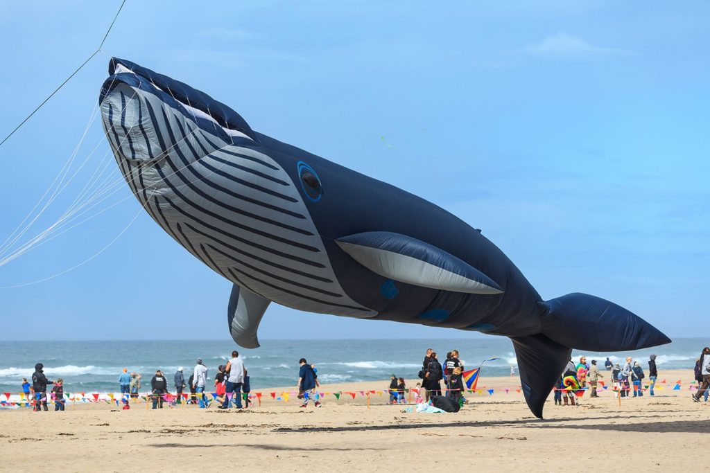 Lincoln City, Oregon, Summer Kite Festival, Central Coast