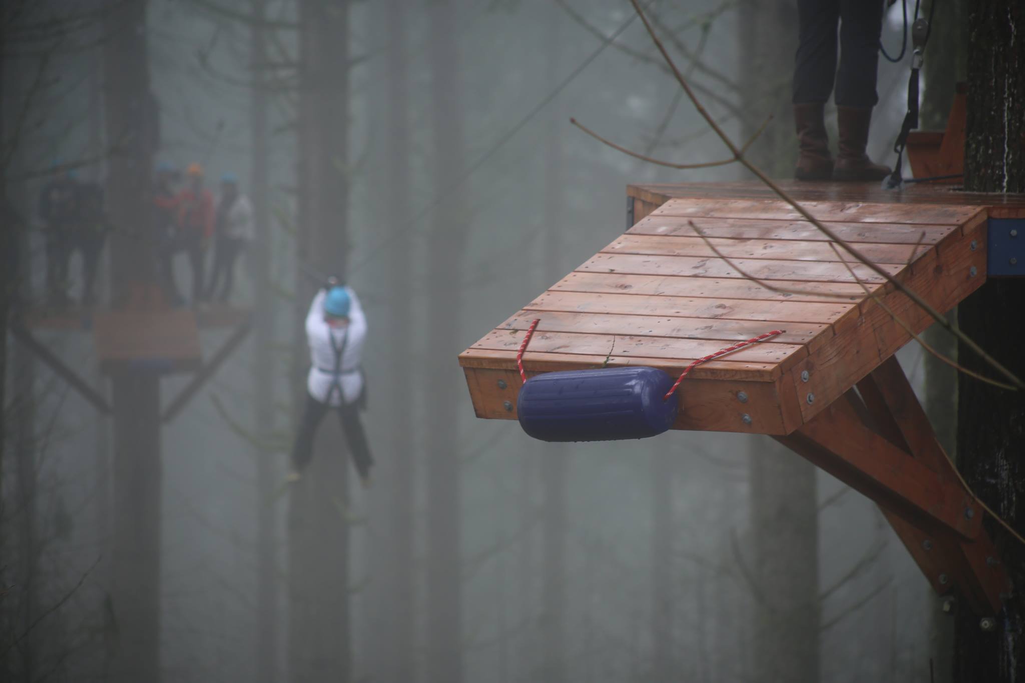 The Pumpkin Ridge Zip Tour in Oregon Features Gorgeous Fall Colors