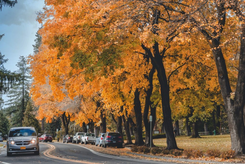 Relax With These 20 Amazing Shots Of Fall Colors In Oregon