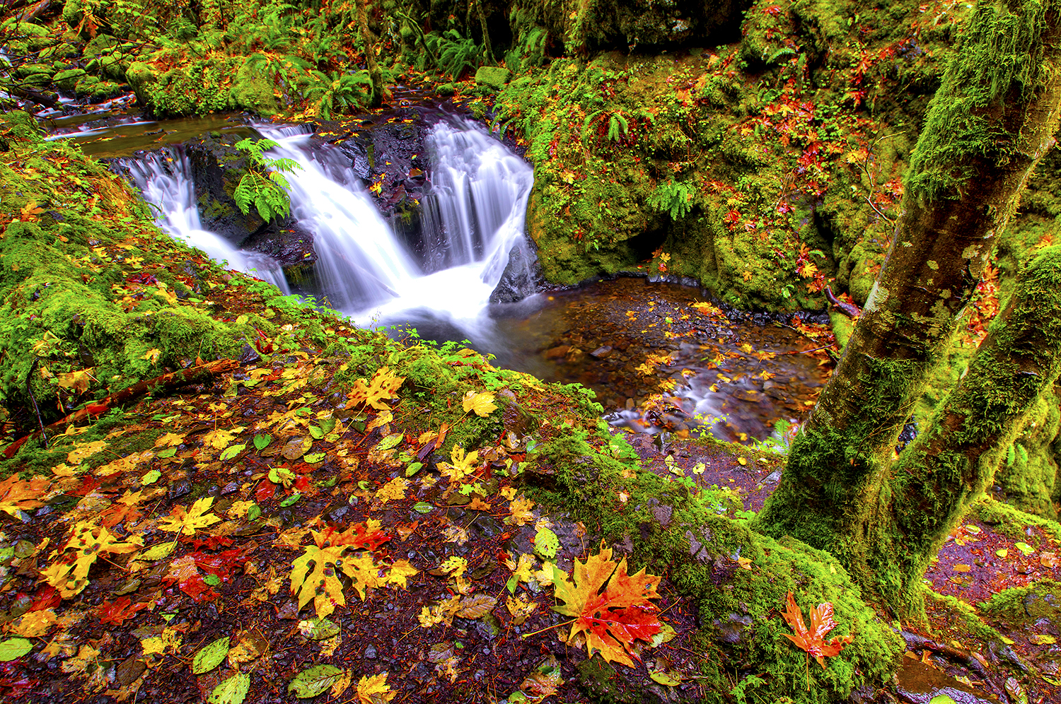 Relax With These 20 Amazing Shots Of Fall Colors In Oregon | That ...