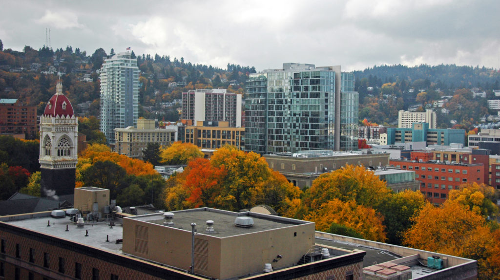 This Fall Go On A Quirky Donut And Coffee Tour In PDX