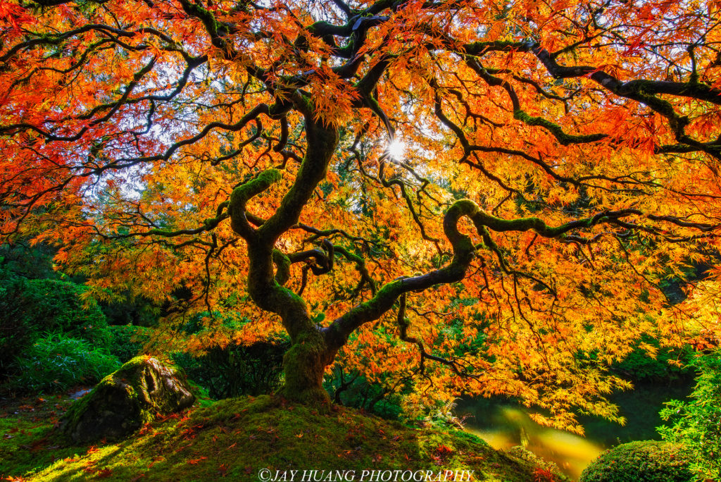 Relax With These 20 Amazing Shots Of Fall Colors In Oregon