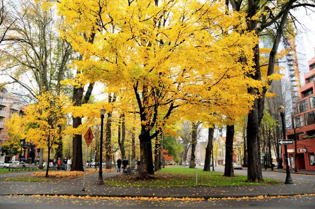 Relax With These 20 Amazing Shots Of Fall Colors In Oregon