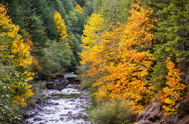 Relax With These 20 Amazing Shots Of Fall Colors In Oregon