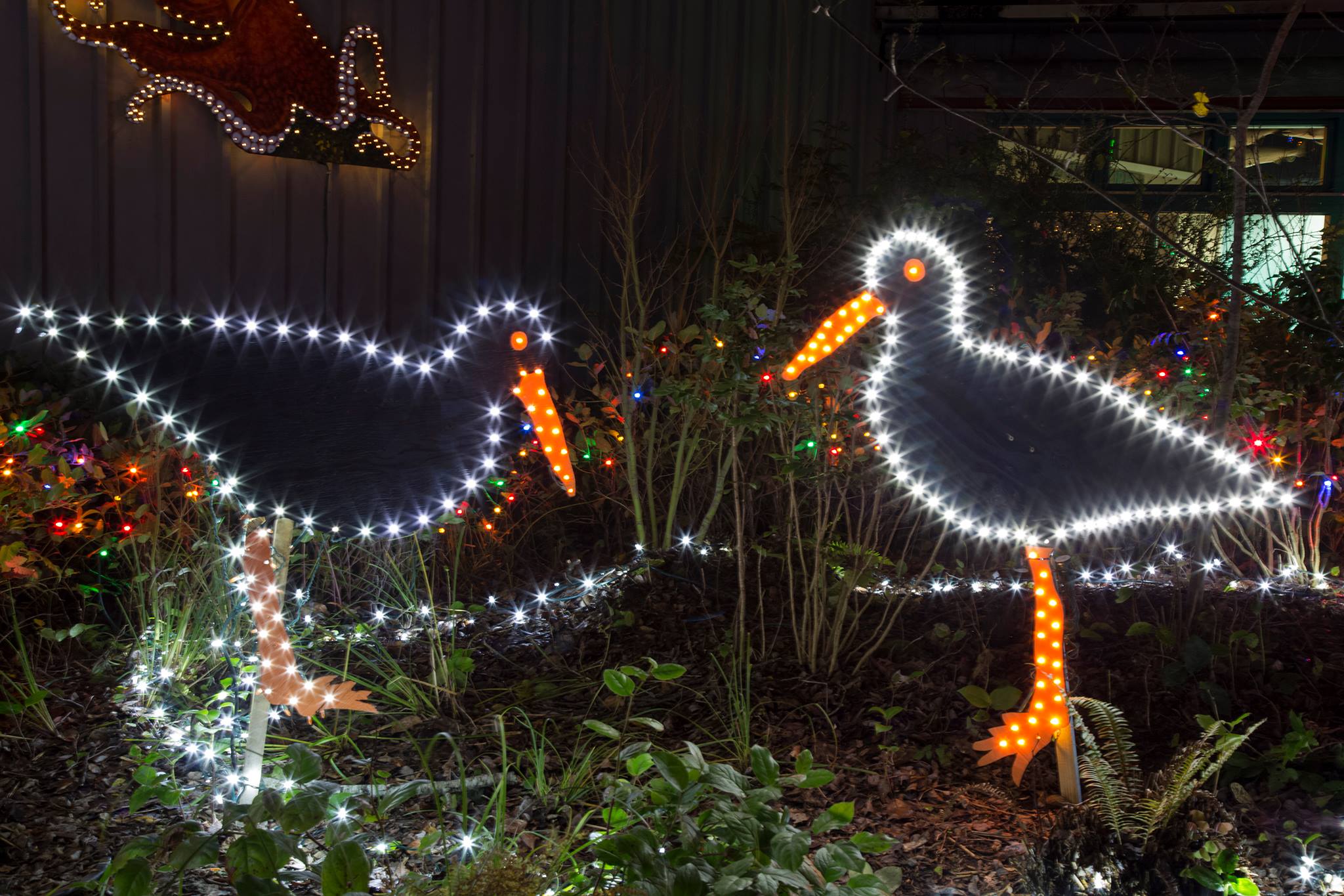 Don't Miss This Epic Underwater Christmas Light Show On The Oregon