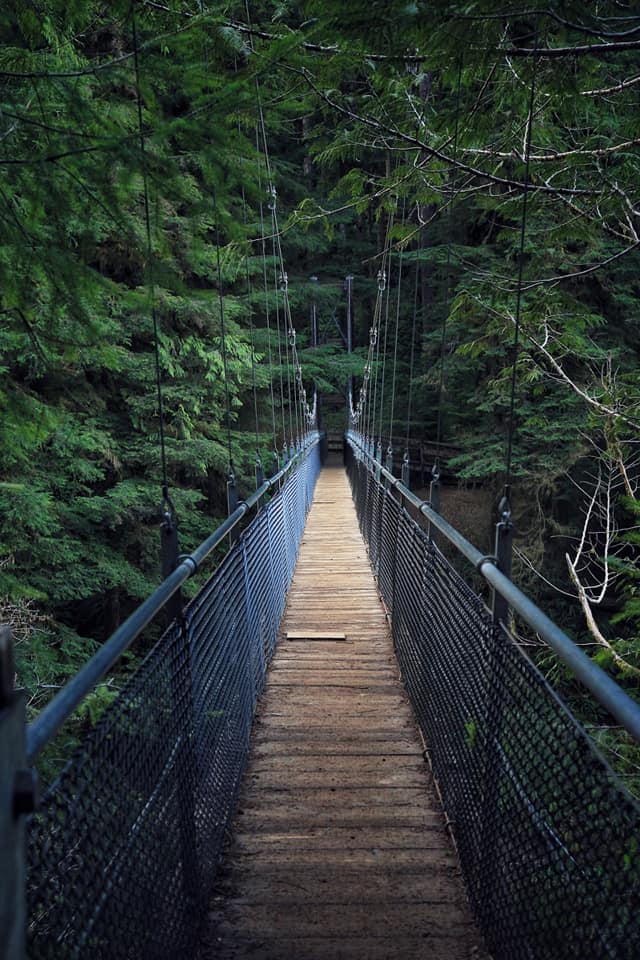 drift creek falls suspension bridge