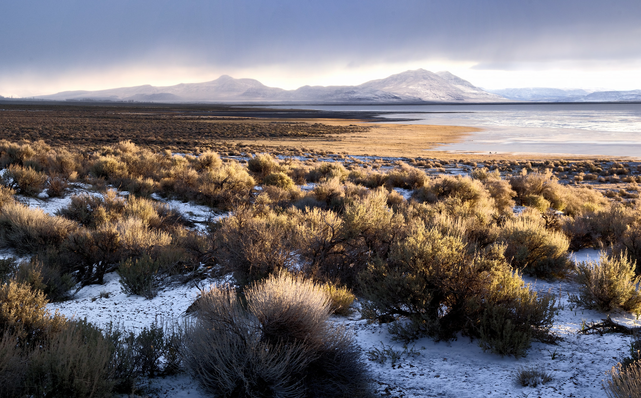 Alvord Desert