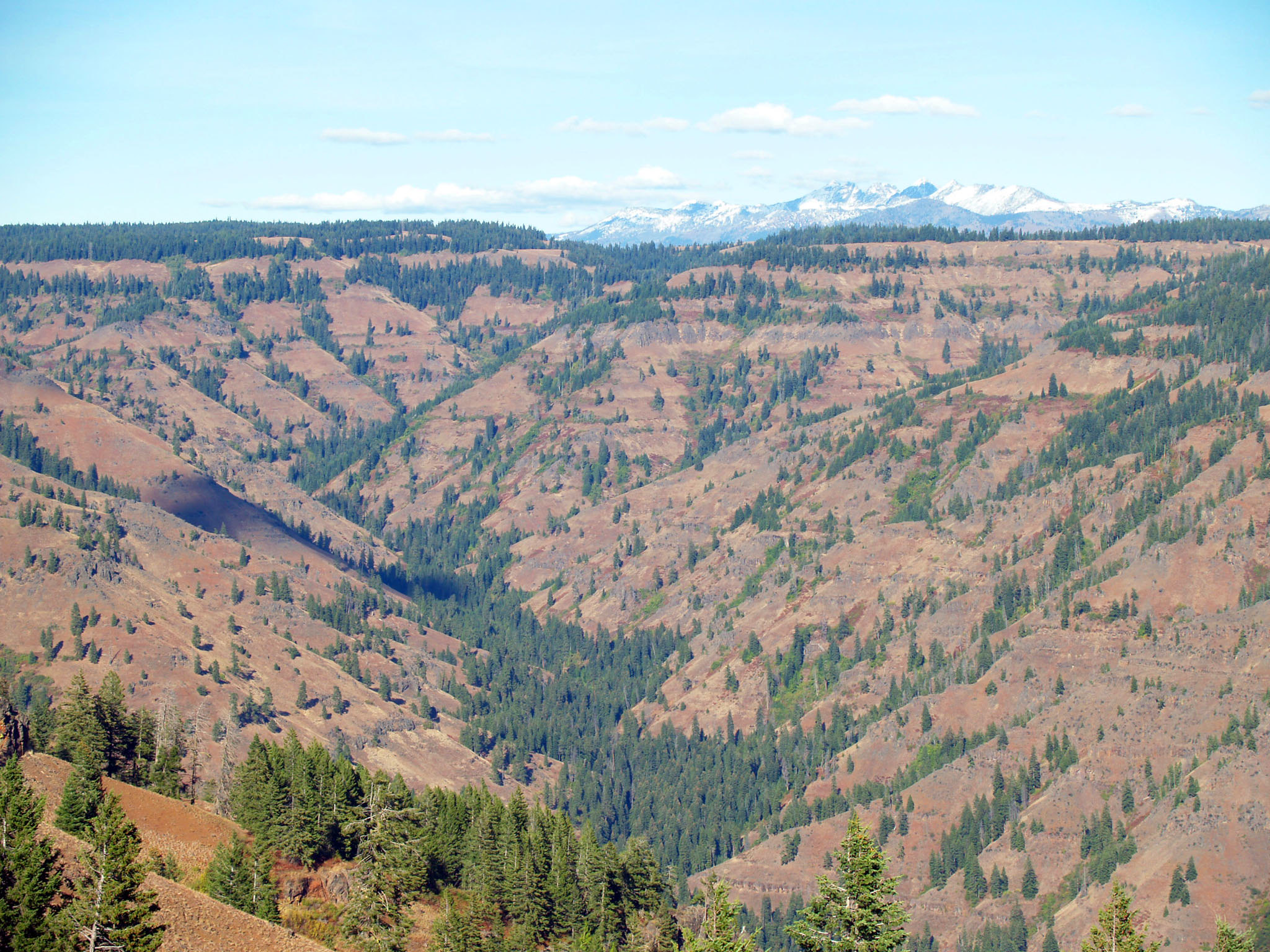 Hell's Canyon Overlook Oregon view