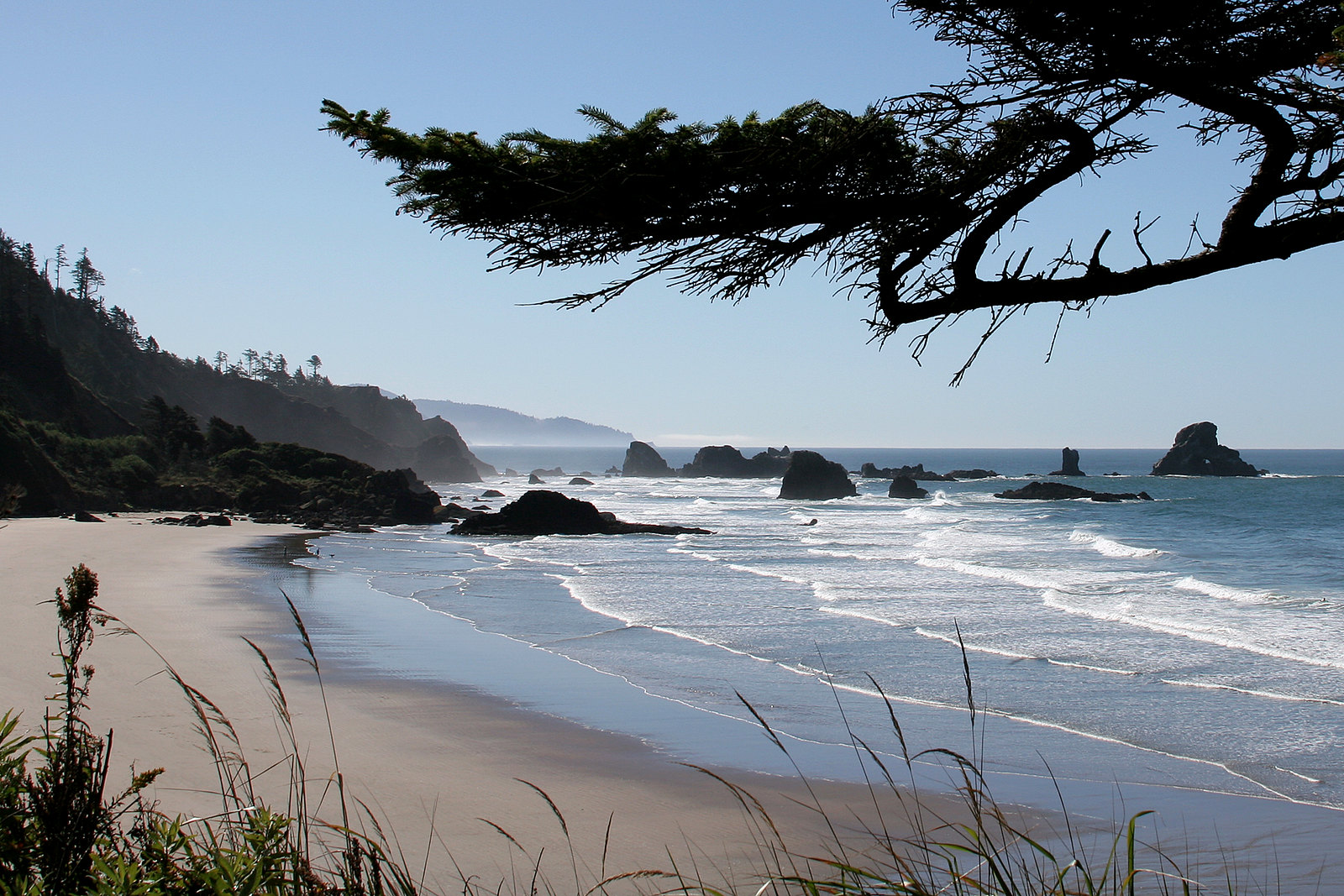 Oregon Coast Hikes With A View