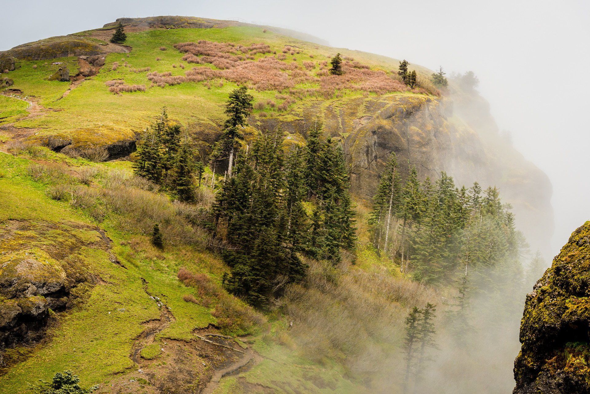 oregon coast hikes