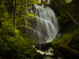 oregon waterfalls to hike university falls