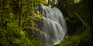 oregon waterfalls to hike university falls