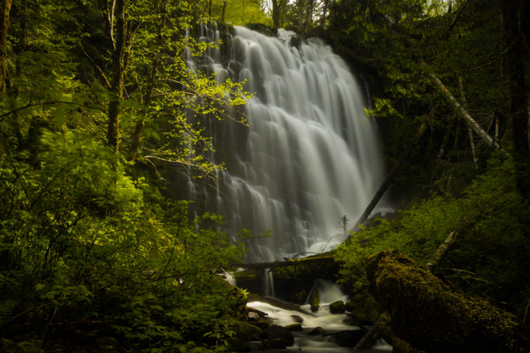 10 Magical Places To Forest Bathe In Oregon And Soak Up Nature