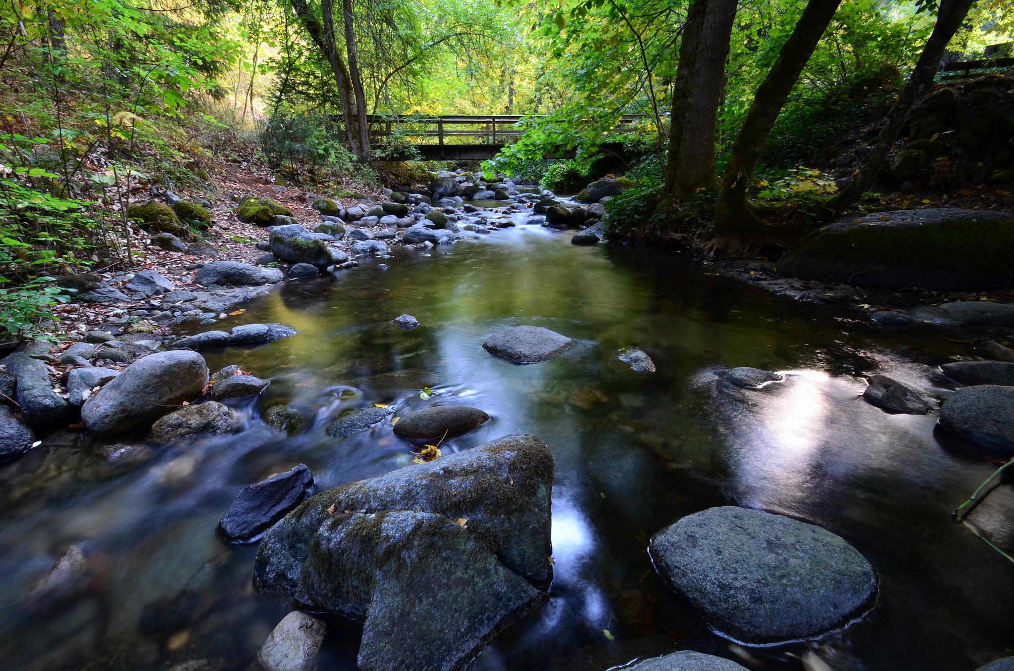 Ashland Oregon Lithia Park Ashland Creek Things To Do