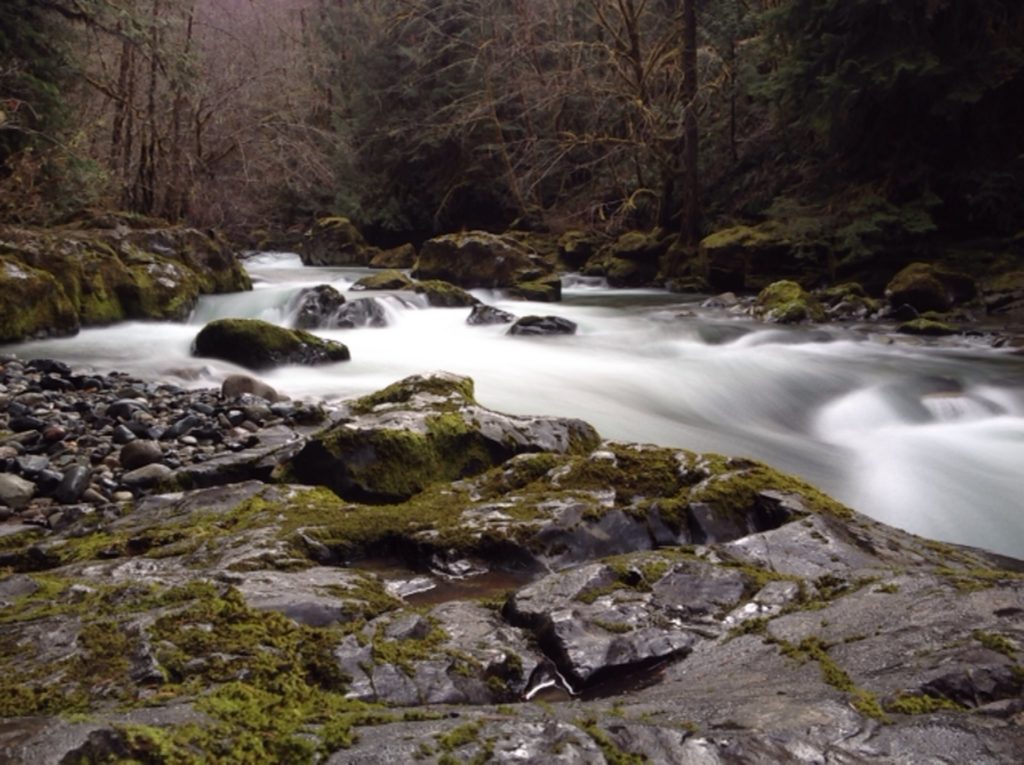 oregon swimming holes