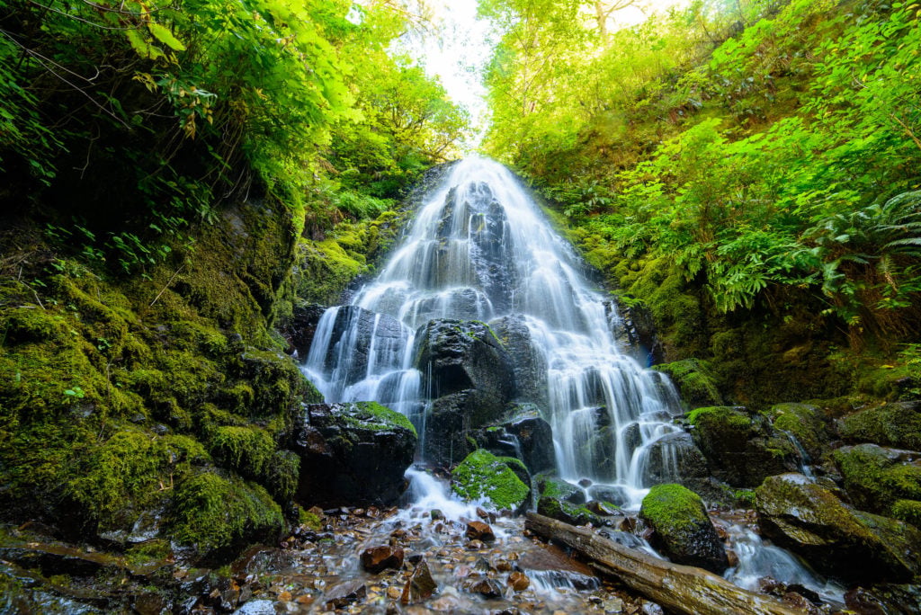 Fairy Falls in the Columbia River Gorge