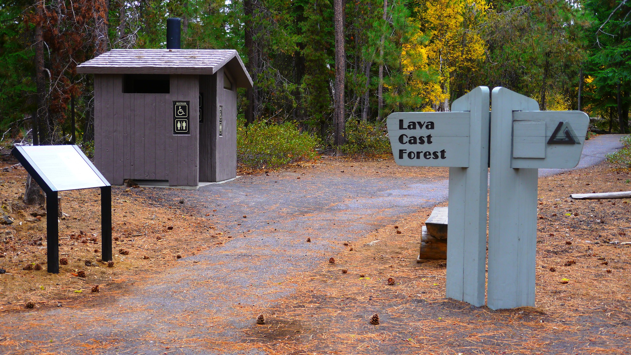 What to do in Bend Oregon Lavacast Forest