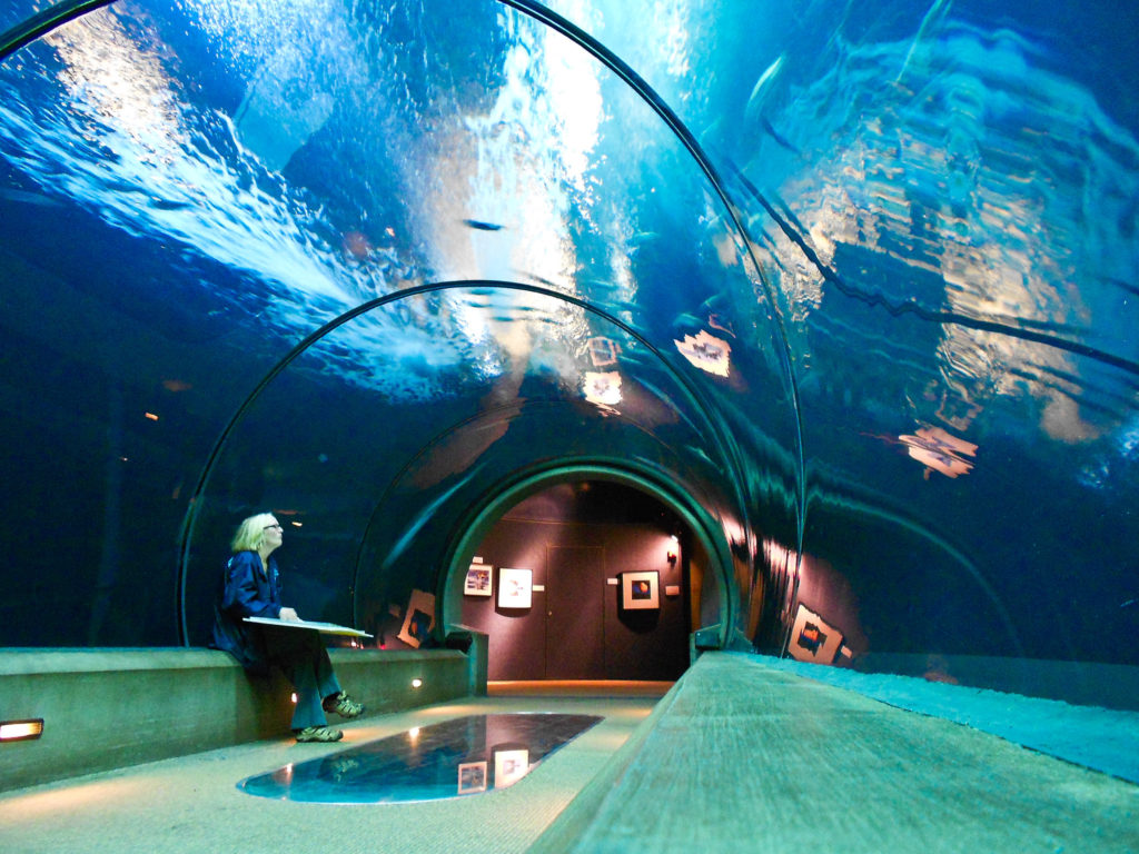 aquarium closed covid 19 Oregon closures