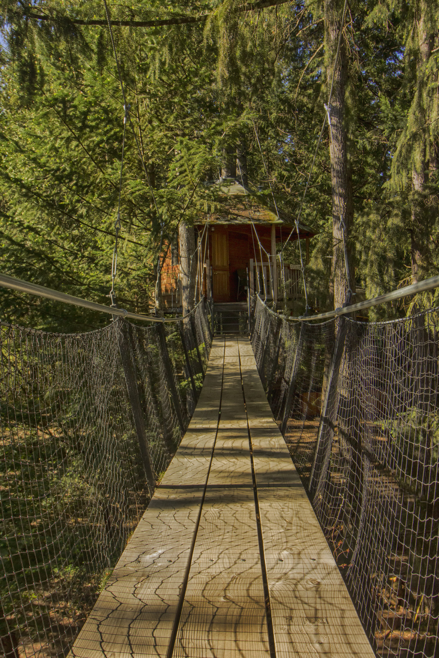 treehose resort oregon