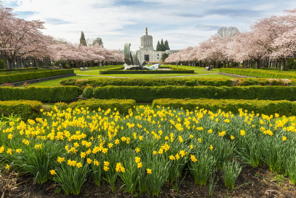 10 Photos That Prove Oregon Is The Most Beautiful State In Spring