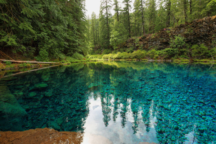 Clear Blue Tamolitch pool