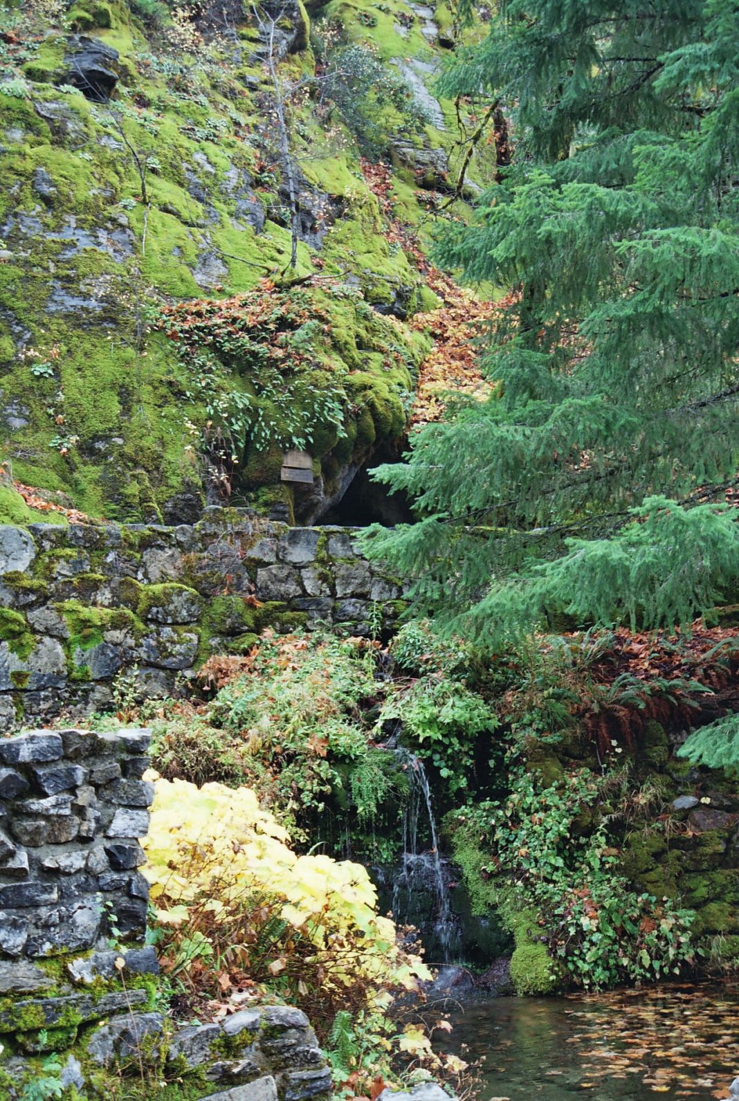 Visit An AweInspiring Underground River Flowing Through Oregon
