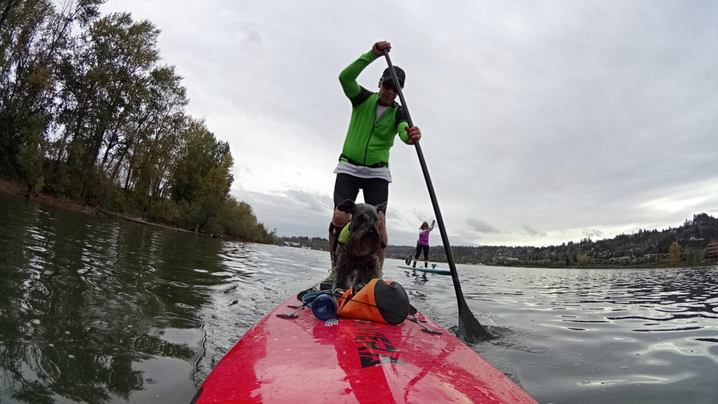 A man and dog paddleboard on the river. The paddleboard is red.