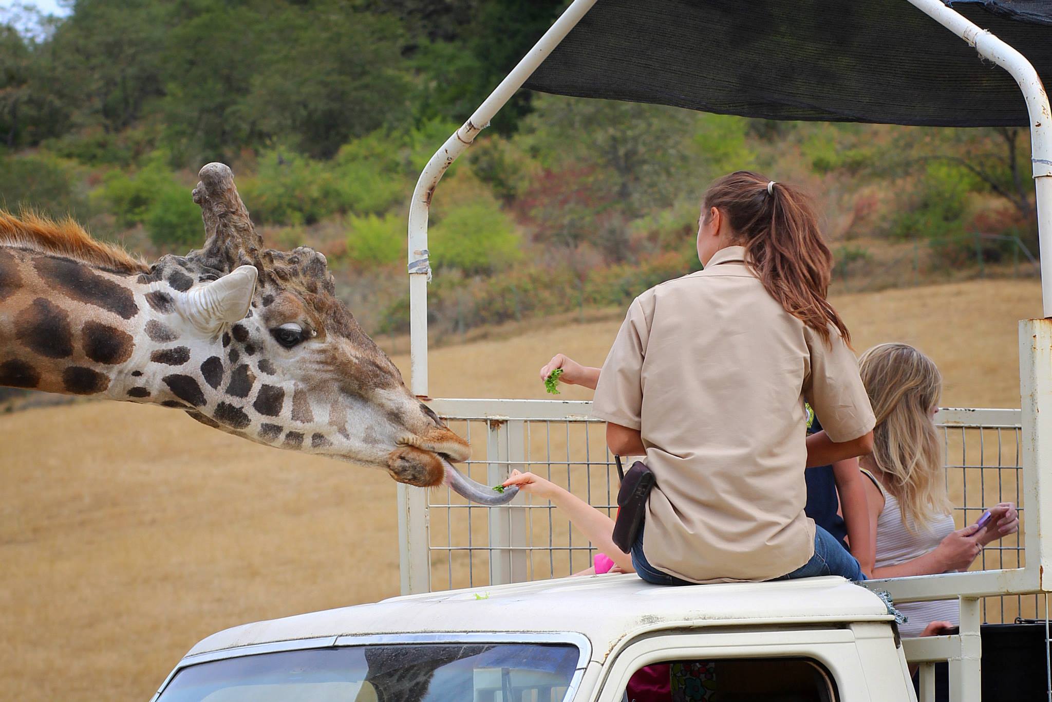 Take a Drive Through This Incredible 600-Acre Oregon Animal Park