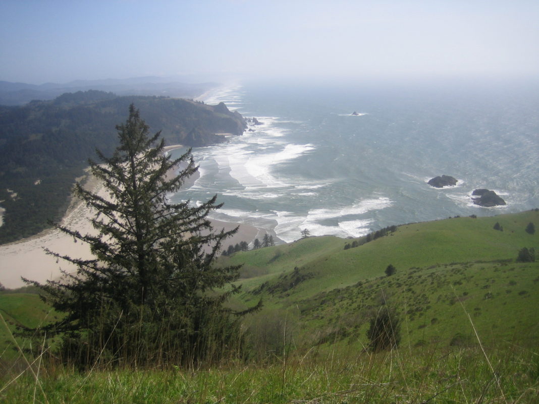 5 Of The Best Hiking Trails Near Lincoln City To Explore