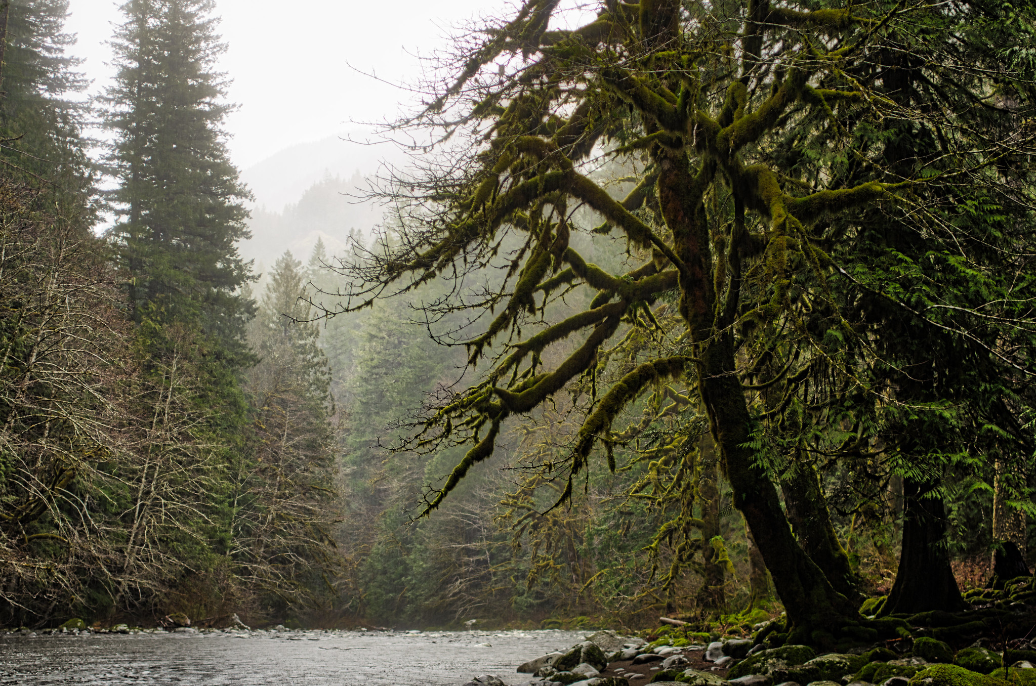 19 Photos That Show Why Oregon's Extreme Weather Is The Best