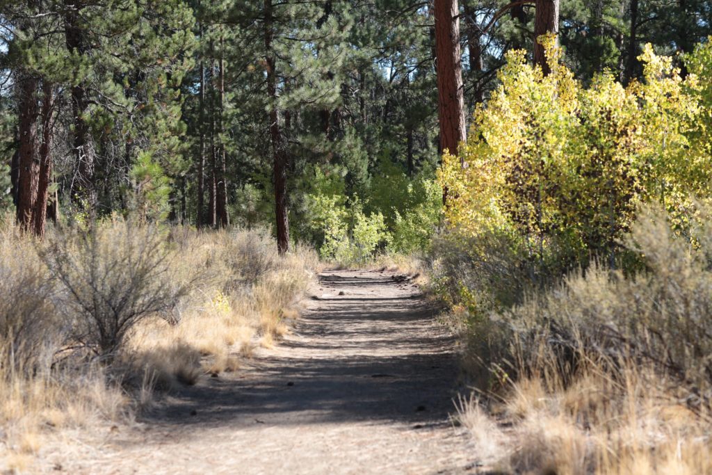 Shevlin Park Bend Oregon