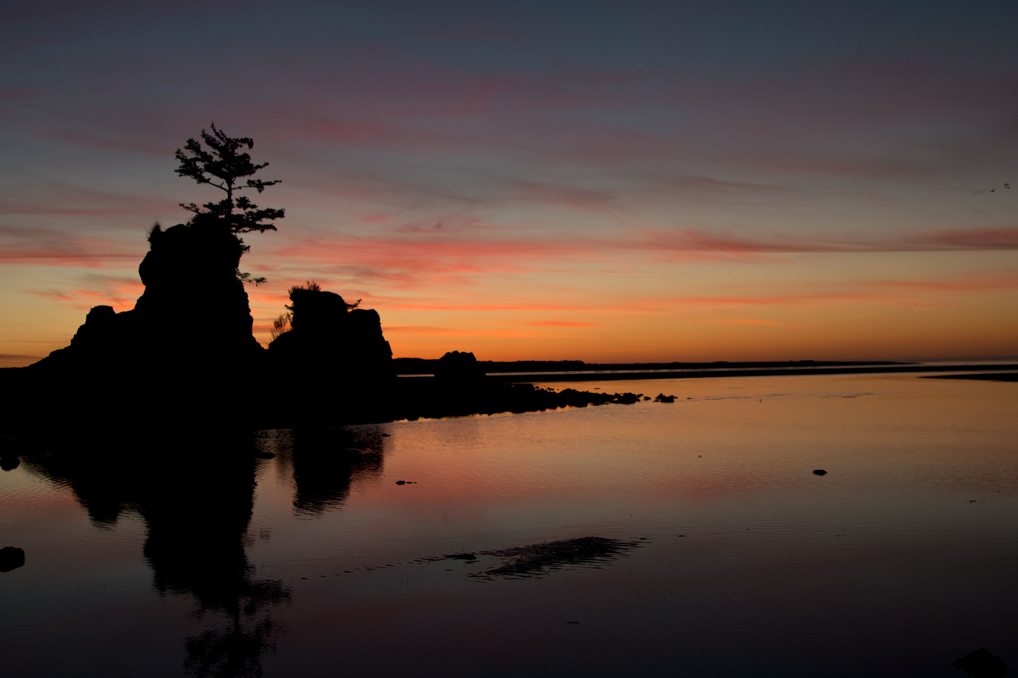 Your Ultimate Guide To Spring Break In Gleneden Beach In Oregon