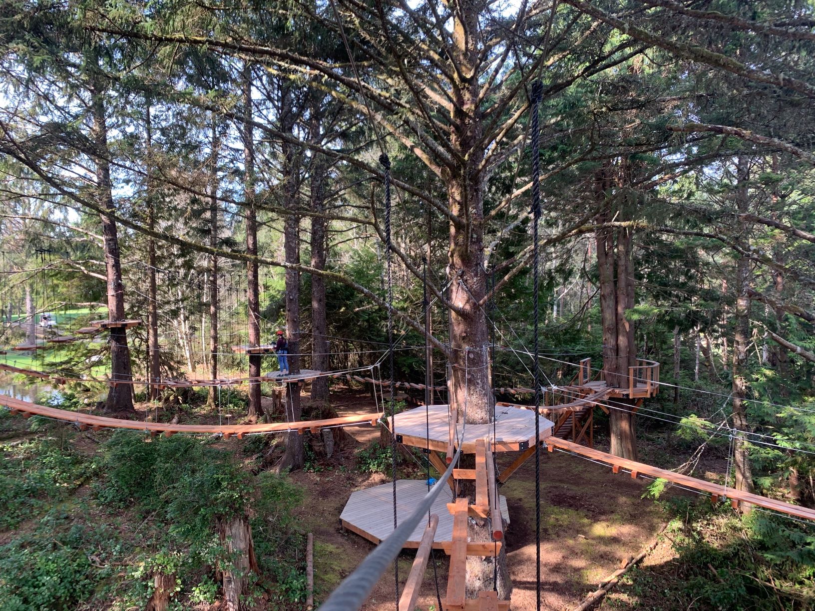 This Dreamy Oregon Coast Lodge And Aerial Park Is Calling Your Name