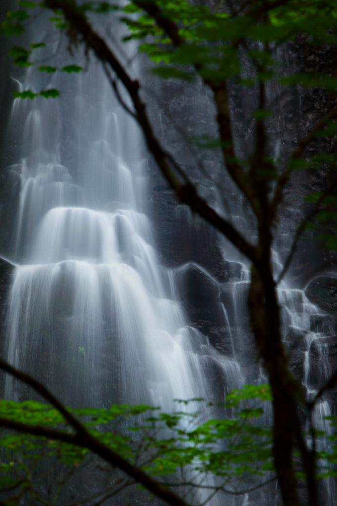 Silver Falls State Park