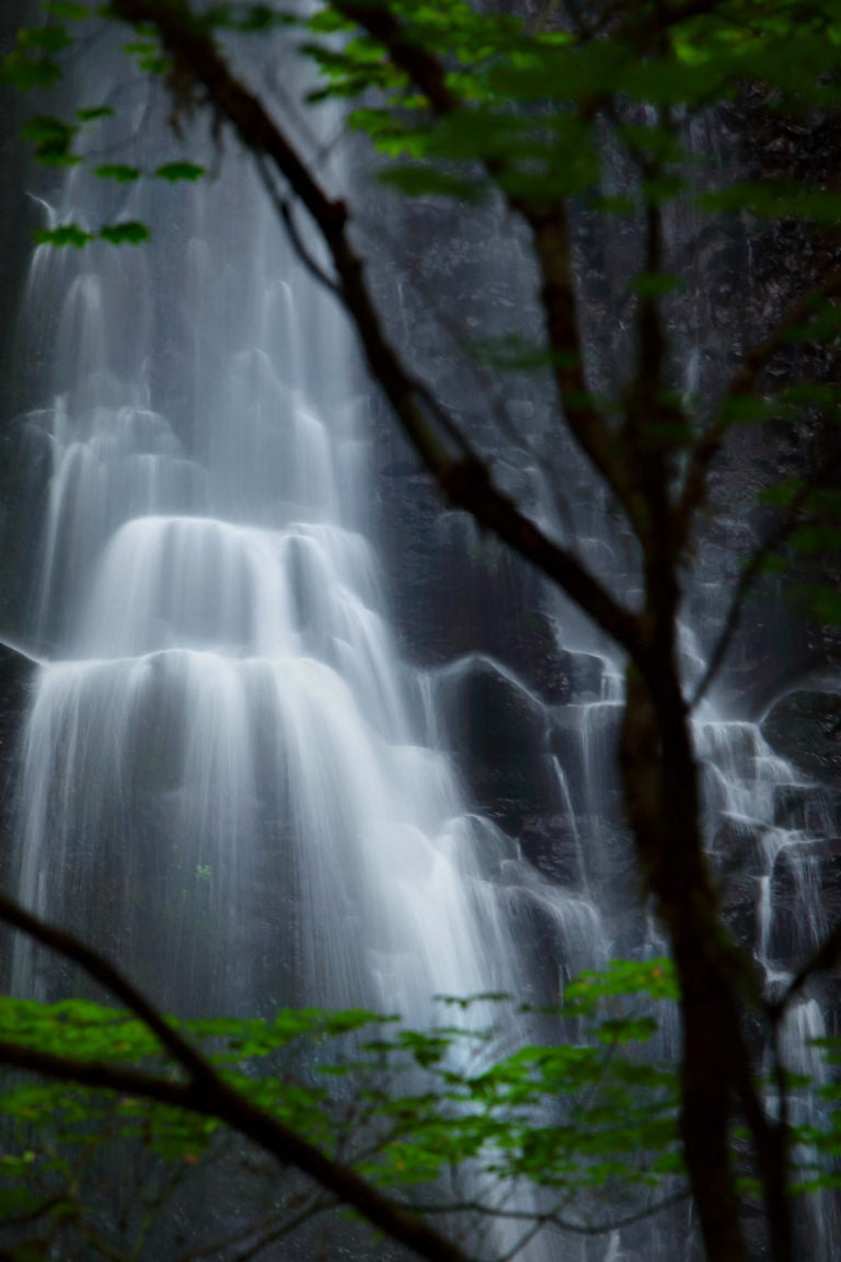 Double Falls at Silver Falls State Park