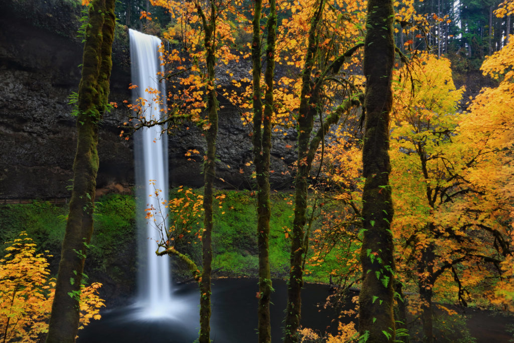 Fall Silver Falls State Park Waterfalls