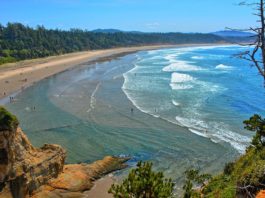 Open Oregon Beaches 2020 Covid-19 Newport